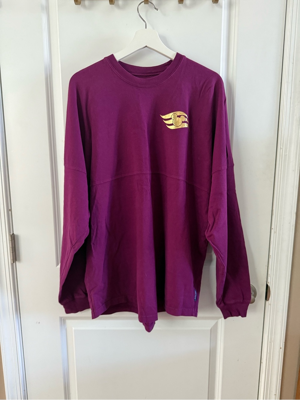 Disney Wish Burgundy and Gold Spirit Jersey